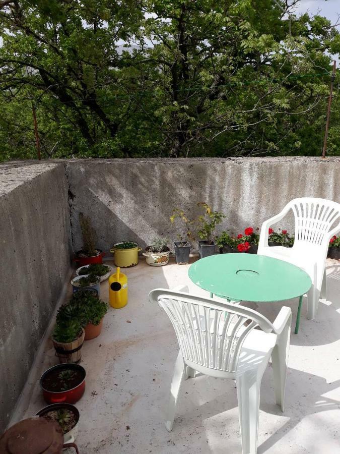 Apartman Milica Golubic  المظهر الخارجي الصورة
