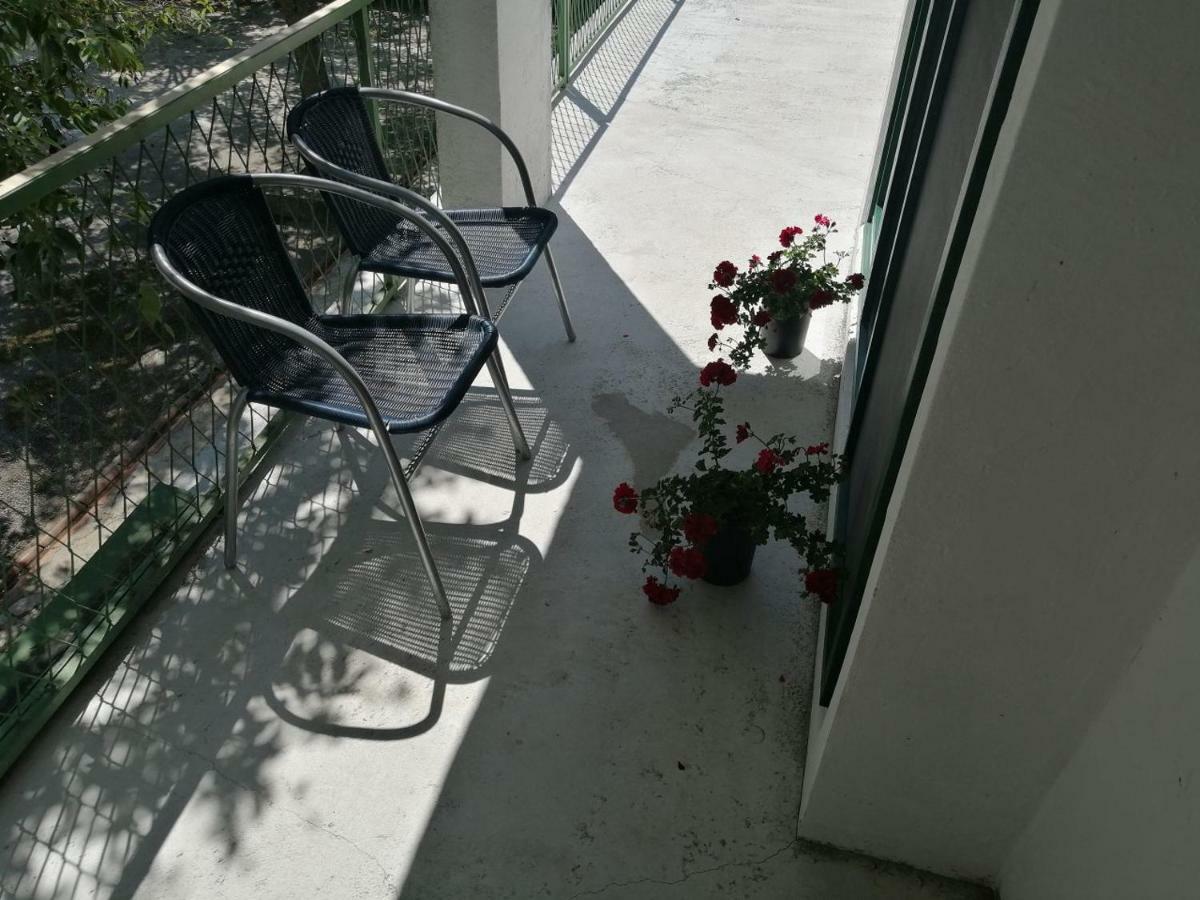 Apartman Milica Golubic  المظهر الخارجي الصورة